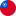 Taiwan Flag